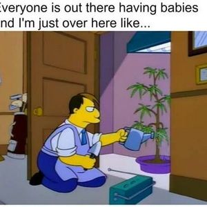 Meet your Posher, Frances